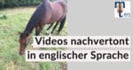 Stuckenberg-Videos-nachvertont